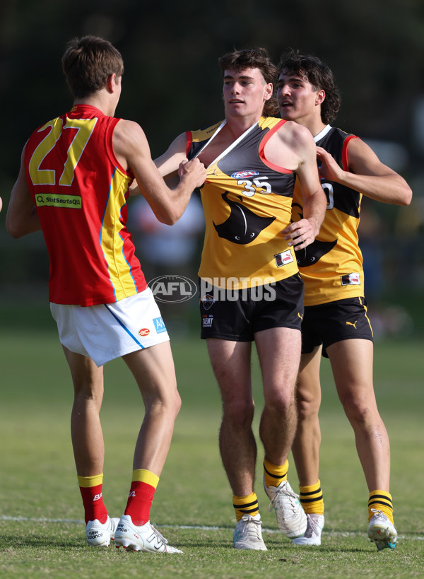 Coates League Boys 2024 Round 06 - Dandenong v Gold Coast SUNS Academy - A-48770005