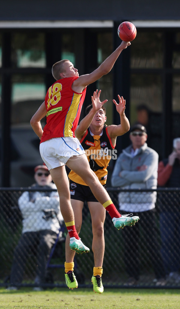 Coates League Boys 2024 Round 06 - Dandenong v Gold Coast SUNS Academy - A-48770007