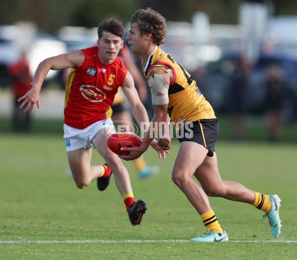 Coates League Boys 2024 Round 06 - Dandenong v Gold Coast SUNS Academy - A-48770009