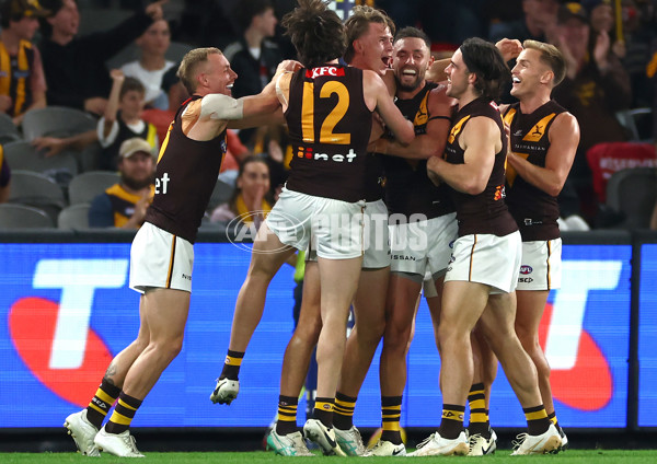 AFL 2024 Round 08 - Western Bulldogs v Hawthorn - A-48770014