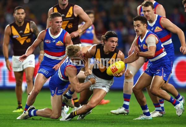 AFL 2024 Round 08 - Western Bulldogs v Hawthorn - A-48770017