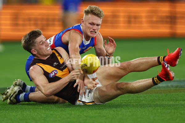 AFL 2024 Round 08 - Western Bulldogs v Hawthorn - A-48770019