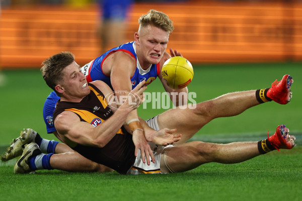 AFL 2024 Round 08 - Western Bulldogs v Hawthorn - A-48770020