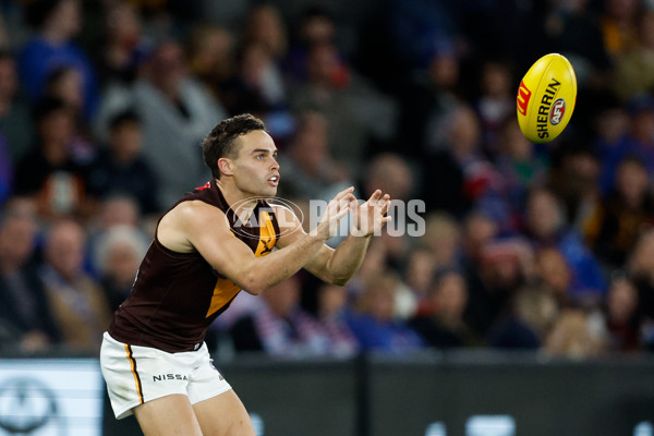 AFL 2024 Round 08 - Western Bulldogs v Hawthorn - A-48770021