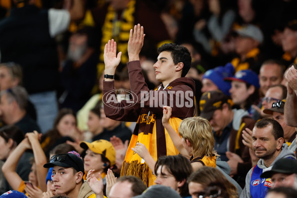 AFL 2024 Round 08 - Western Bulldogs v Hawthorn - A-48770022