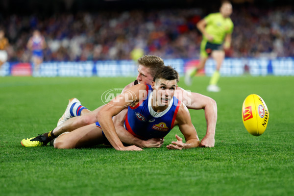 AFL 2024 Round 08 - Western Bulldogs v Hawthorn - A-48770024