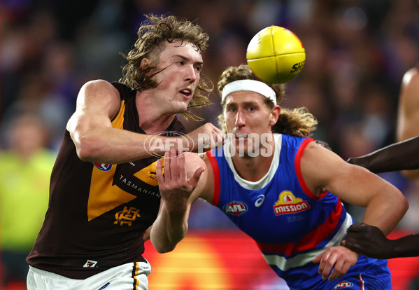 AFL 2024 Round 08 - Western Bulldogs v Hawthorn - A-48770036