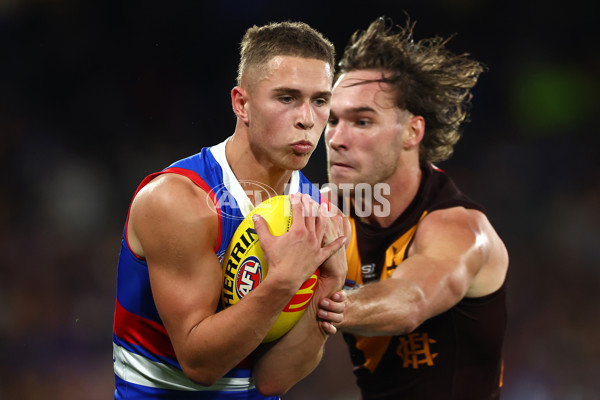 AFL 2024 Round 08 - Western Bulldogs v Hawthorn - A-48770038