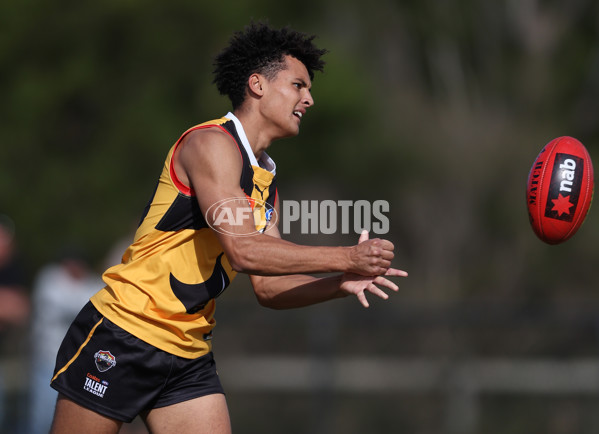 Coates League Boys 2024 Round 06 - Dandenong v Gold Coast SUNS Academy - A-48770061