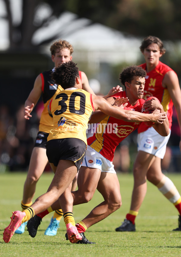 Coates League Boys 2024 Round 06 - Dandenong v Gold Coast SUNS Academy - A-48770064