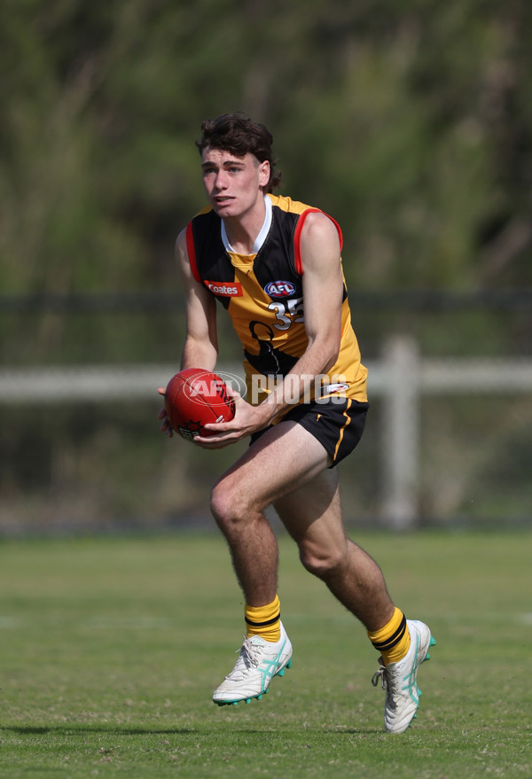 Coates League Boys 2024 Round 06 - Dandenong v Gold Coast SUNS Academy - A-48770066