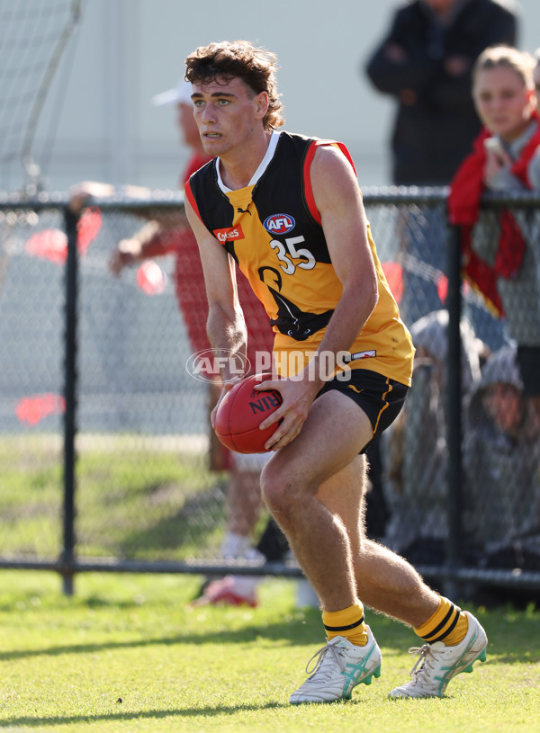 Coates League Boys 2024 Round 06 - Dandenong v Gold Coast SUNS Academy - A-48770068