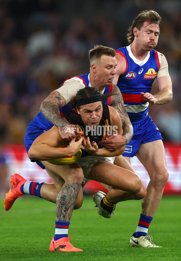 AFL 2024 Round 08 - Western Bulldogs v Hawthorn - A-48770069