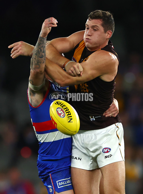 AFL 2024 Round 08 - Western Bulldogs v Hawthorn - A-48770070