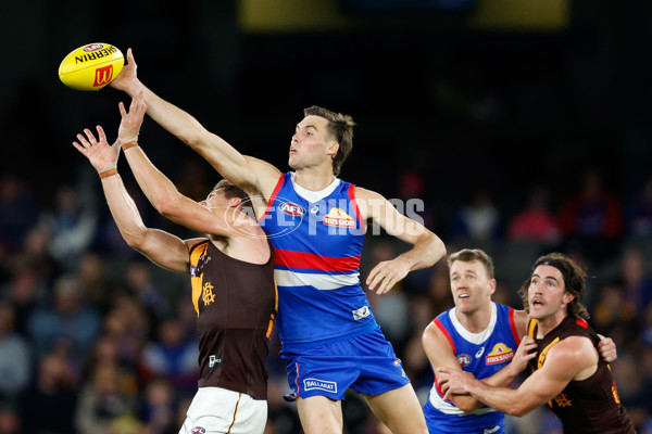 AFL 2024 Round 08 - Western Bulldogs v Hawthorn - A-48771188