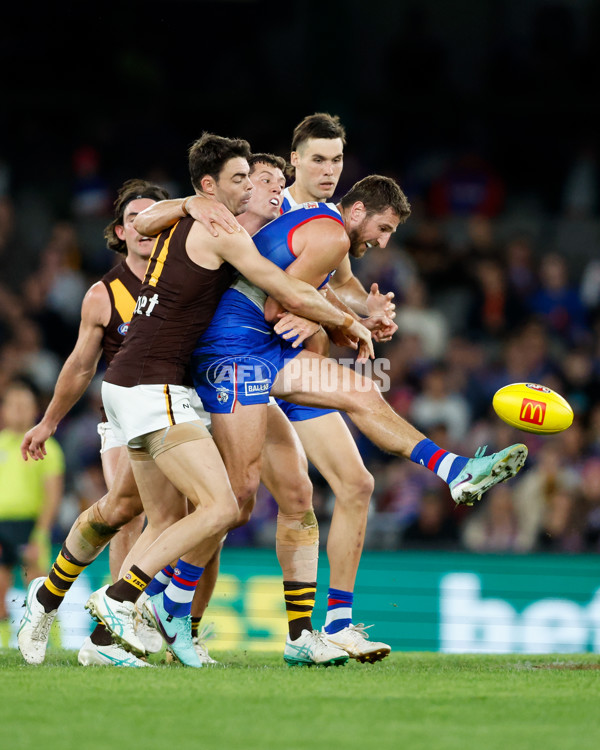 AFL 2024 Round 08 - Western Bulldogs v Hawthorn - A-48771189