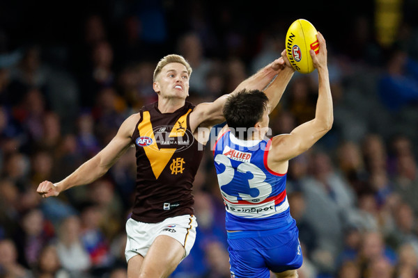 AFL 2024 Round 08 - Western Bulldogs v Hawthorn - A-48771190