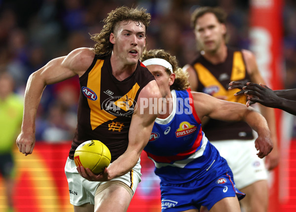 AFL 2024 Round 08 - Western Bulldogs v Hawthorn - A-48771195