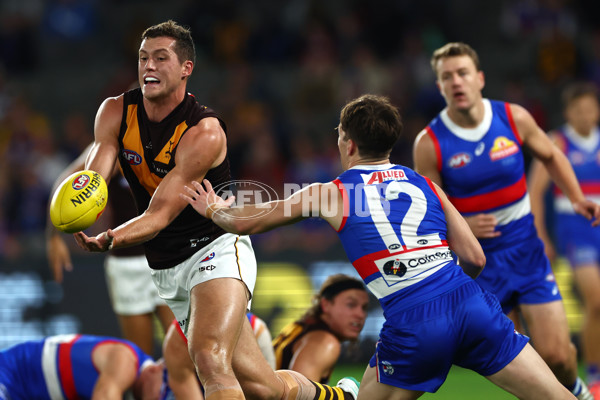 AFL 2024 Round 08 - Western Bulldogs v Hawthorn - A-48771197