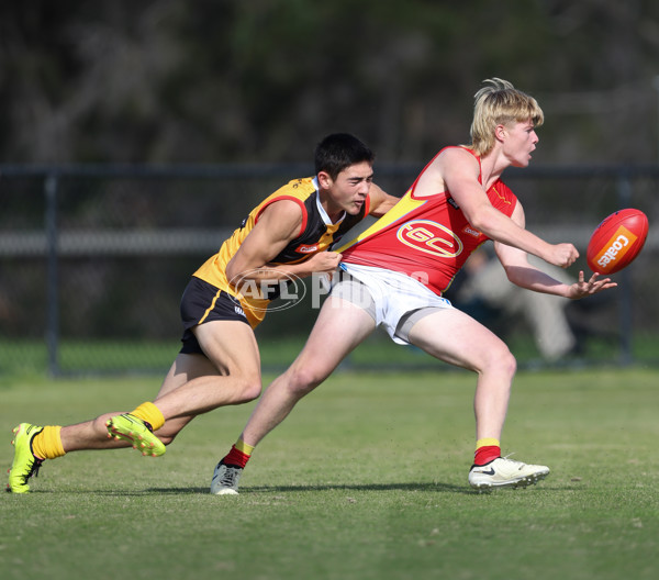 Coates League Boys 2024 Round 06 - Dandenong v Gold Coast SUNS Academy - A-48771224