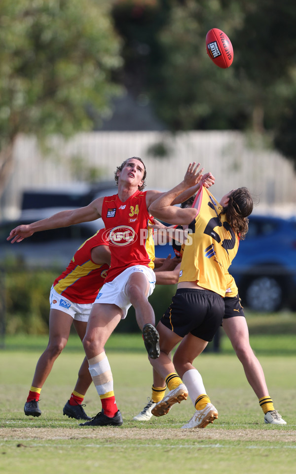 Coates League Boys 2024 Round 06 - Dandenong v Gold Coast SUNS Academy - A-48771225