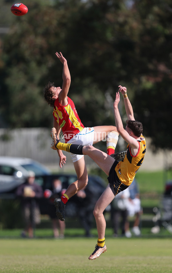 Coates League Boys 2024 Round 06 - Dandenong v Gold Coast SUNS Academy - A-48771226