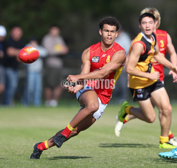 Coates League Boys 2024 Round 06 - Dandenong v Gold Coast SUNS Academy - A-48771228