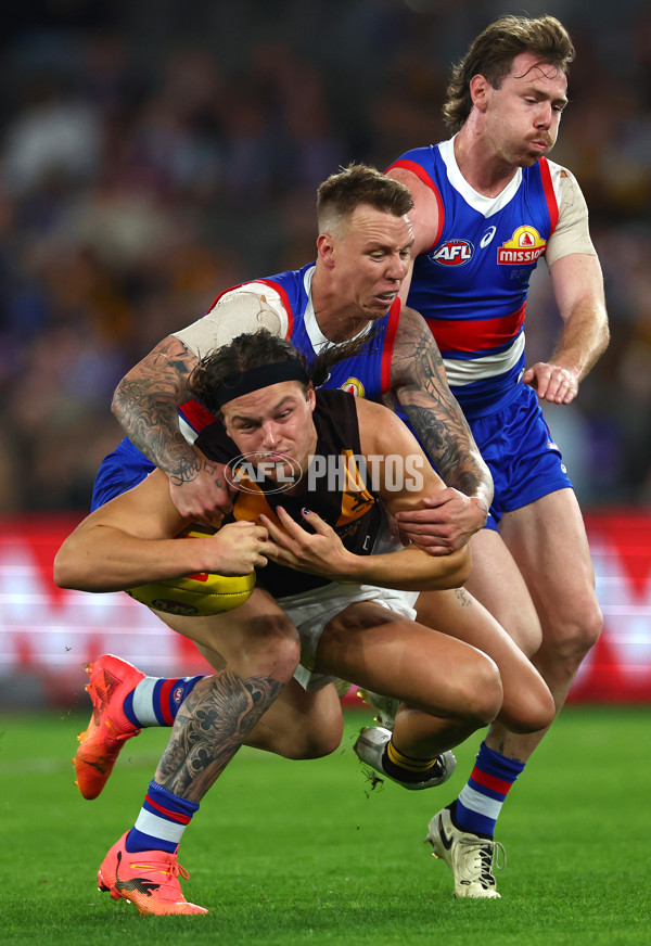 AFL 2024 Round 08 - Western Bulldogs v Hawthorn - A-48771229