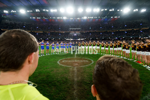 AFL 2024 Round 08 - Western Bulldogs v Hawthorn - A-48771244