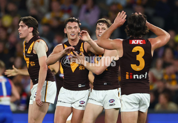 AFL 2024 Round 08 - Western Bulldogs v Hawthorn - A-48771259