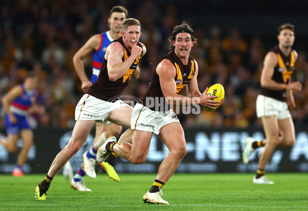 AFL 2024 Round 08 - Western Bulldogs v Hawthorn - A-48771260