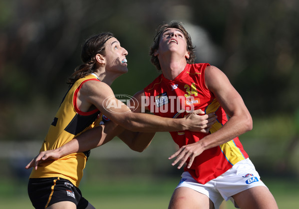 Coates League Boys 2024 Round 06 - Dandenong v Gold Coast SUNS Academy - A-48771282