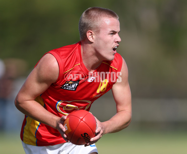 Coates League Boys 2024 Round 06 - Dandenong v Gold Coast SUNS Academy - A-48771283