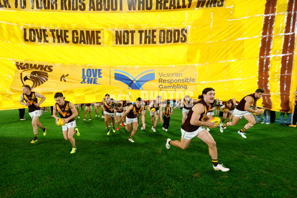 AFL 2024 Round 08 - Western Bulldogs v Hawthorn - A-48772618