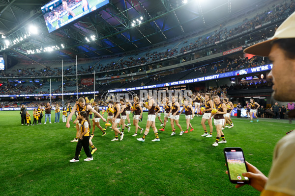 AFL 2024 Round 08 - Western Bulldogs v Hawthorn - A-48772620