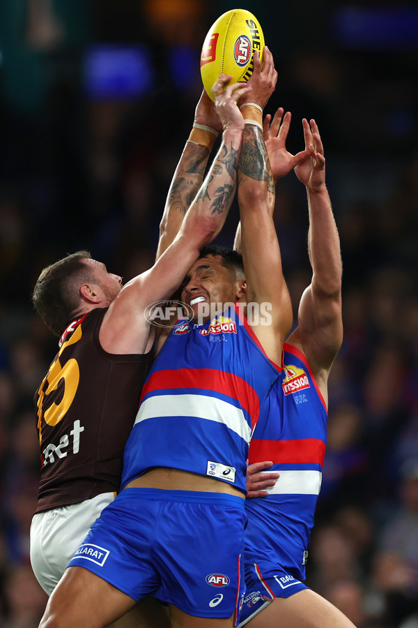 AFL 2024 Round 08 - Western Bulldogs v Hawthorn - A-48772633