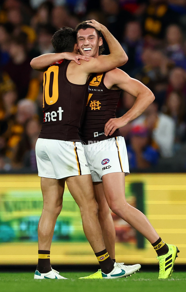 AFL 2024 Round 08 - Western Bulldogs v Hawthorn - A-48772637