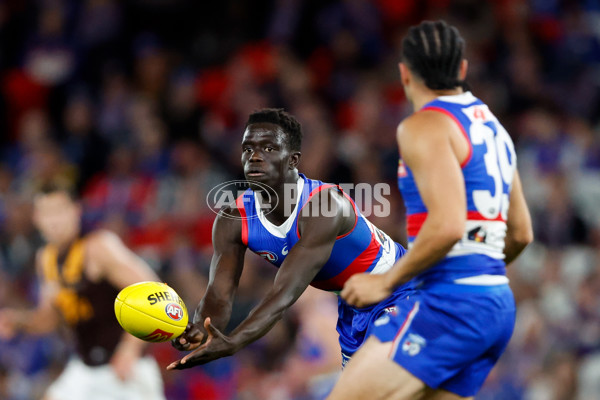 AFL 2024 Round 08 - Western Bulldogs v Hawthorn - A-48772643