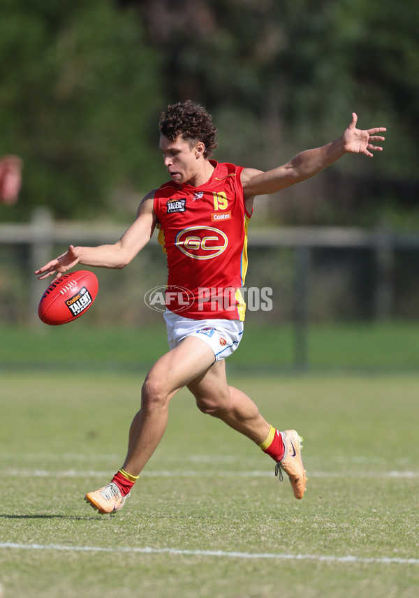 Coates League Boys 2024 Round 06 - Dandenong v Gold Coast SUNS Academy - A-48772662