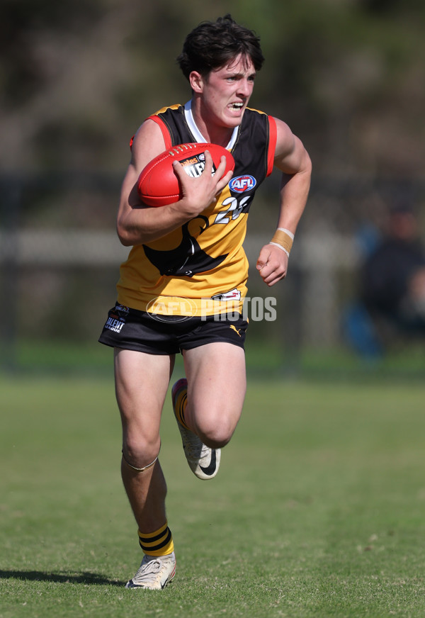 Coates League Boys 2024 Round 06 - Dandenong v Gold Coast SUNS Academy - A-48772663