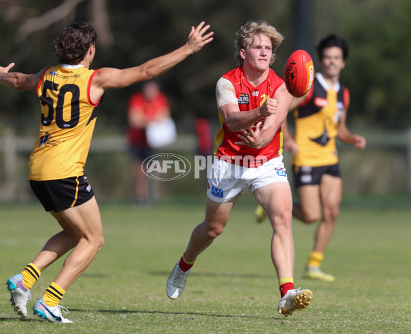 Coates League Boys 2024 Round 06 - Dandenong v Gold Coast SUNS Academy - A-48772664