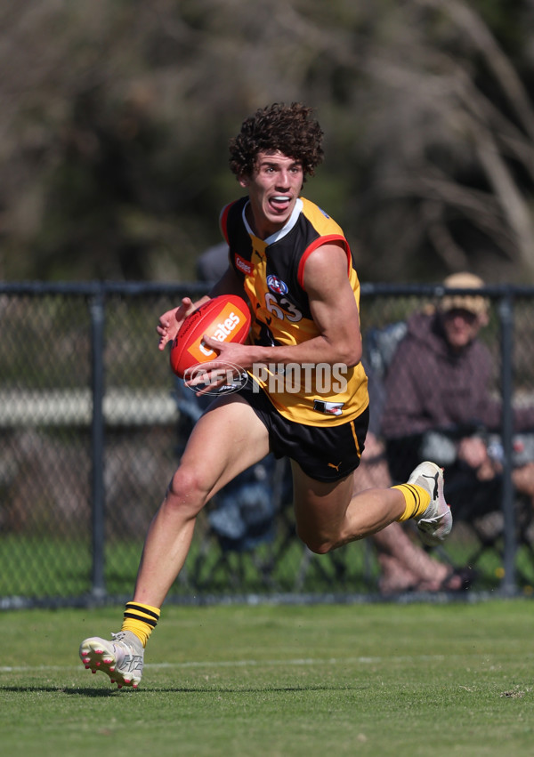 Coates League Boys 2024 Round 06 - Dandenong v Gold Coast SUNS Academy - A-48772694