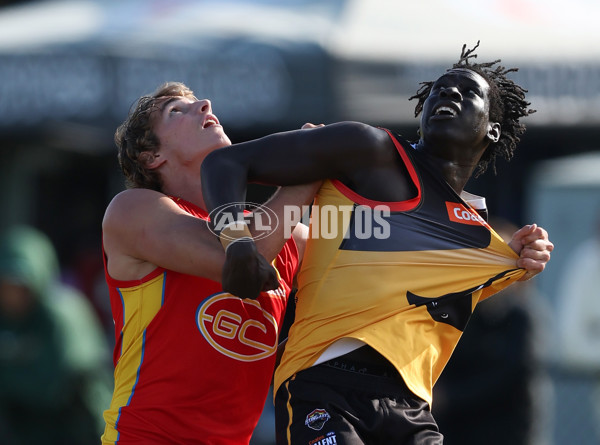 Coates League Boys 2024 Round 06 - Dandenong v Gold Coast SUNS Academy - A-48772696