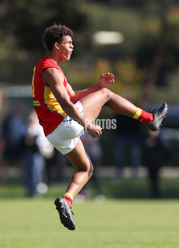 Coates League Boys 2024 Round 06 - Dandenong v Gold Coast SUNS Academy - A-48774012