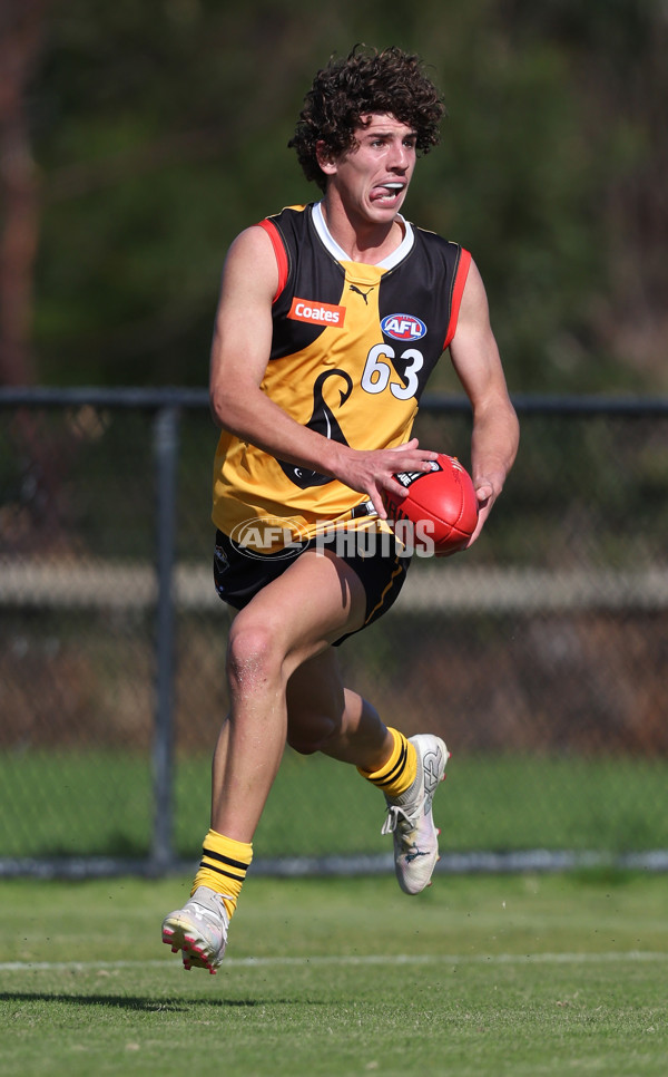 Coates League Boys 2024 Round 06 - Dandenong v Gold Coast SUNS Academy - A-48774033