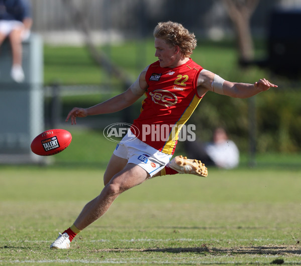 Coates League Boys 2024 Round 06 - Dandenong v Gold Coast SUNS Academy - A-48774035