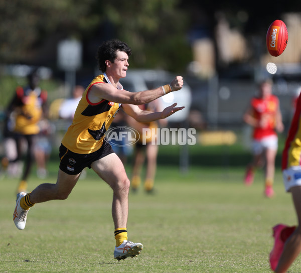 Coates League Boys 2024 Round 06 - Dandenong v Gold Coast SUNS Academy - A-48774036