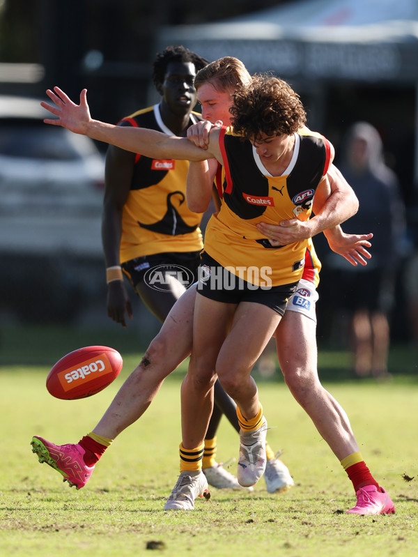 Coates League Boys 2024 Round 06 - Dandenong v Gold Coast SUNS Academy - A-48774050