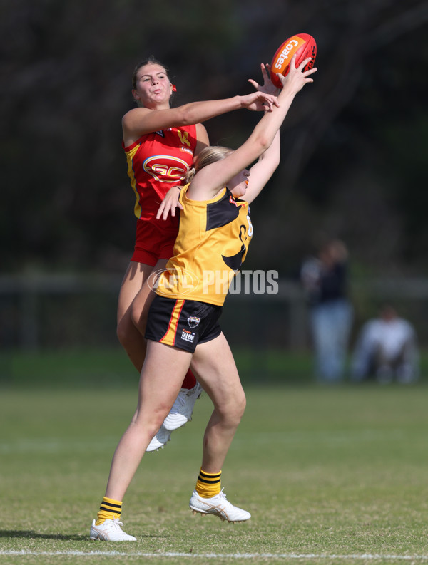 Coates League Girls 2024 Round 05 - Dandenong v Gold Coast SUNS Academy - A-48774076