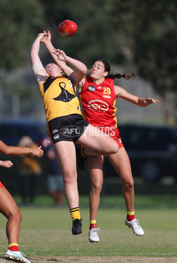 Coates League Girls 2024 Round 05 - Dandenong v Gold Coast SUNS Academy - A-48774079